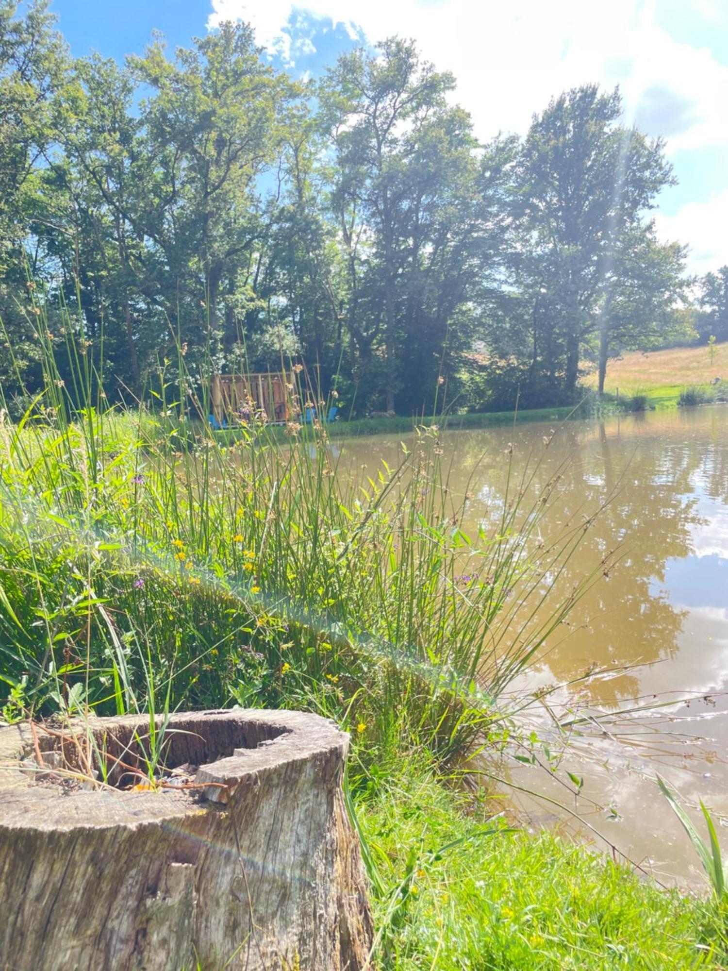 Gite Neuf Avec Jardin, Foret Et Etang Argenton Sur Creuse 외부 사진